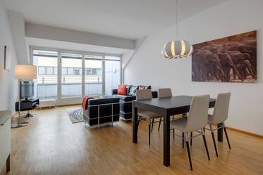 Appartement avec terrasse sur le toit beau et meublé à Maxvorstadt